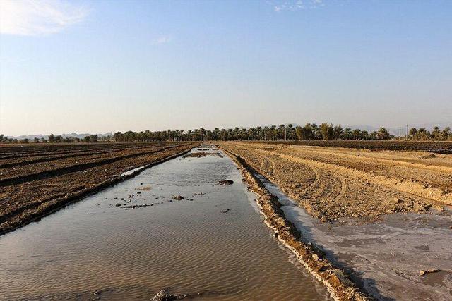 بیش از ۸۵ درصد آب در کشاورزی؛ خودکفایی یا خودویرانگری؟