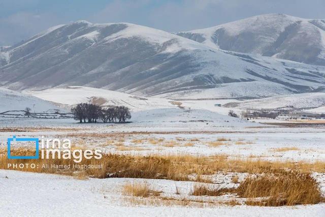 هشدار هواشناسی قم نسبت به وزش باد شدید و افت محسوس دما در قم