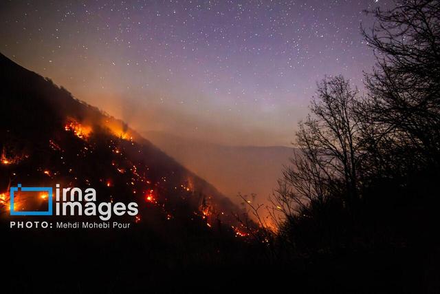 رمزگشایی از آتش سوزی جنگل الیت؛ پای شکارچیان در میان است