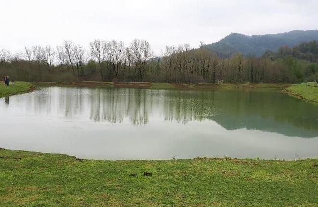 هزار هکتار آب‌بندان‌ در گیلان احیاء شد | فیلم