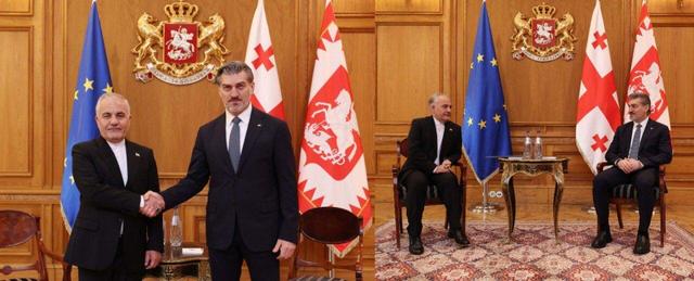 دیدار خداحافظی سفیر ایران با رئیس‌جمهور گرجستان