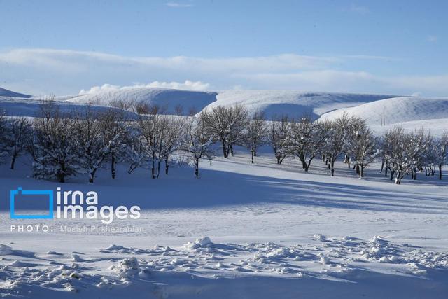 گرفتار شدن ۵ متردد مرزی در برف و کولاک ارتفاعات اشنویه
