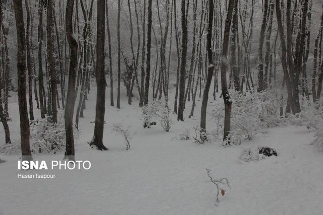 افزایش ۱۱ درصدی آمار بارش در کنار تداوم خشکسالی