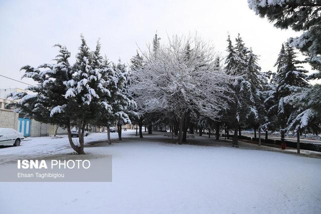 پیش‌بینی بارش برف در قزوین/ قزوین شب سردی را پشت سر گذاشت
