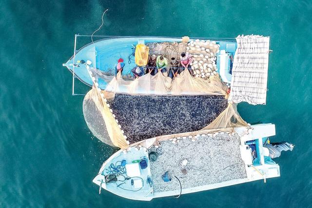 تور پهن مشکلات برای صیادان هرمزگانی