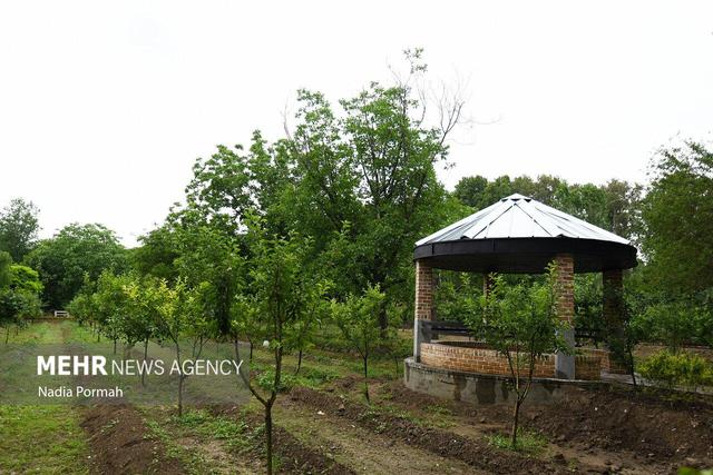 شهند: با ۸۱ درصد استعلام‌های پروژه‌ها زیست محیطی ملارد موافقت شده است