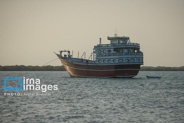 مدیرعامل صندوق صنایع دریایی: تمرکز ما برحوزه شیلات بویژه نوسازی ناوگان صیادی است