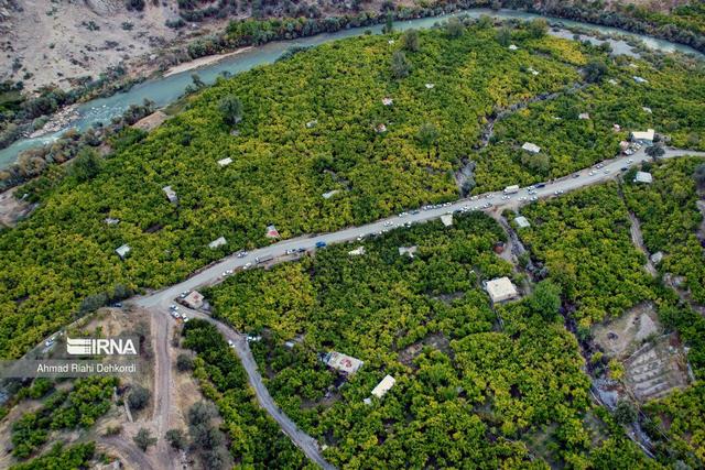 عوامل خسارت‌زا در ۴۵۴ هزار هکتار از زمین‌های کشاورزی چهارمحال و بختیاری ردیابی شد