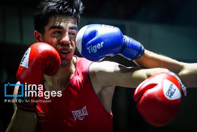 یک طلا و یک نقره برای بوکسورهای مازندرانی در مسابقات قهرمانی کشور