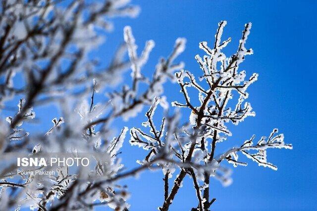 تداوم یخبندان در البرز