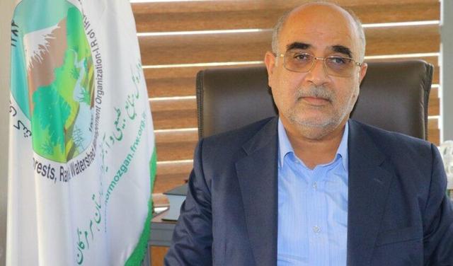 از ظرفیت آب خاکستری برای تولید نهال حرا استفاده می‌شود