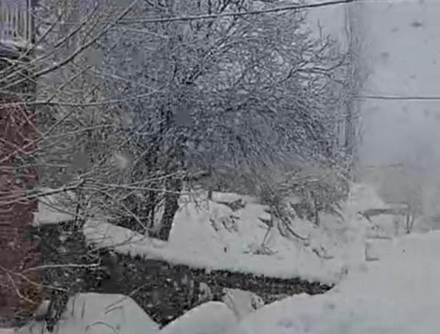 بارش برف در روستای بلچهسور مریوان