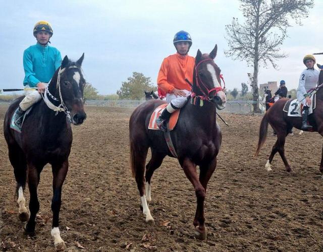 اسب‌های برتر هفته هشتم کورس پاییزه گنبدکاووس معرفی شدند