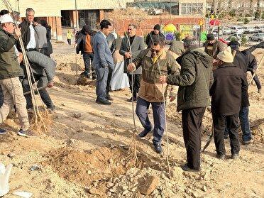 نهالکاری به نیت حاج قاسم در مشهد