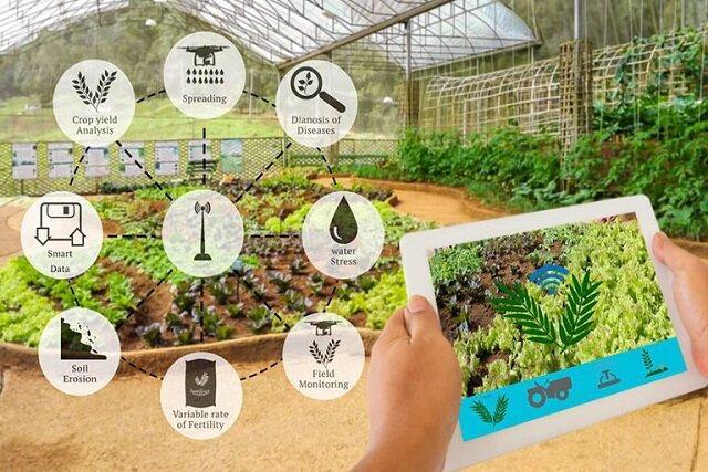 اینترنت اشیاء میتواند مسیر کشاورزی ایران را تغییر دهد