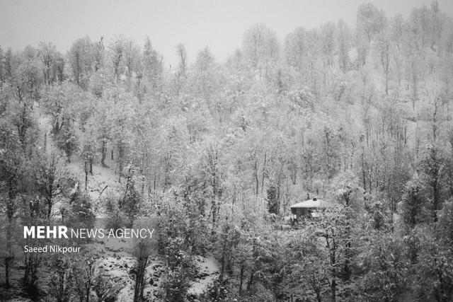مرادی: توقف بارش برف در ۱۰ محور گیلان؛ تردد جریان دارد