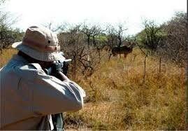 دستگیری شکارچیان خارجی متخلف در دشت اهواز