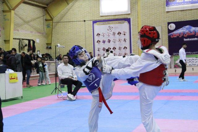 تکواندوکاران خردسالان استان اردبیل معرفی شدند