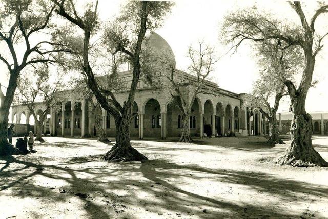 وضعیت حرم حضرت زینب (س) ۷۰ سال پیش!