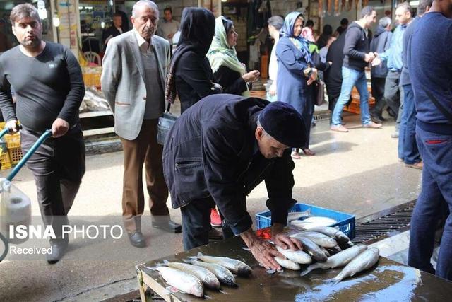 هشدار دامپزشکی زنجان نسبت به خرید ماهی از دست‌فروشان