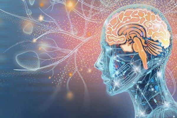 توصیه‌ای مهم برای جوان نگه داشتن مغز