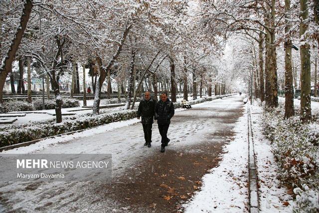 داداشی: بارش سال گذشته خراسان شمالی ۷.۶ میلی‌متر بیشتر بود