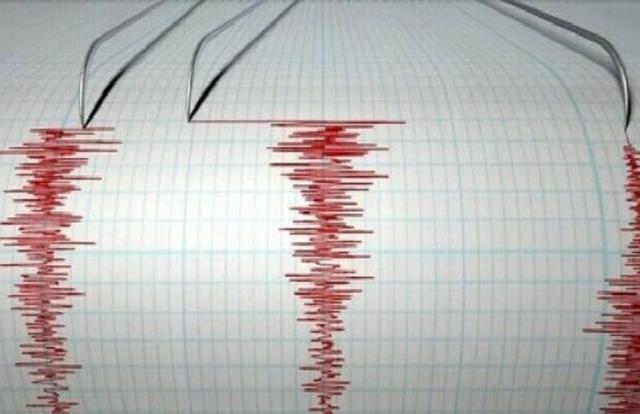 لامرد فارس لرزید