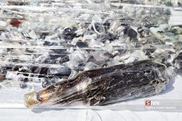 ۱۵۶ کیلو گرم مواد روانگردان شیشه توسط پلیس فرودگاه کشف شد