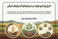 اینفوگرافیک؛ طرح پایداری تولید در دیم زارهای آذربایجان‌شرقی