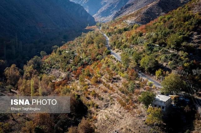 کمک به معرفی طارم با استفاده از ظرفیت رسانه
