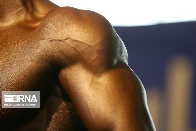 آغاز رقابت‌های پرورش اندام جایزه بزرگ «جام‌خلیج‌فارس» در قشم