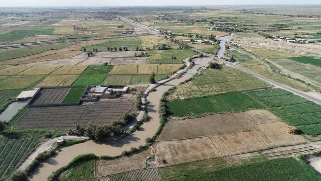 اخلاصی: ۱۰ هزار هکتار اراضی کشاورزی مرکزی به حوزه صنعت واگذار شد