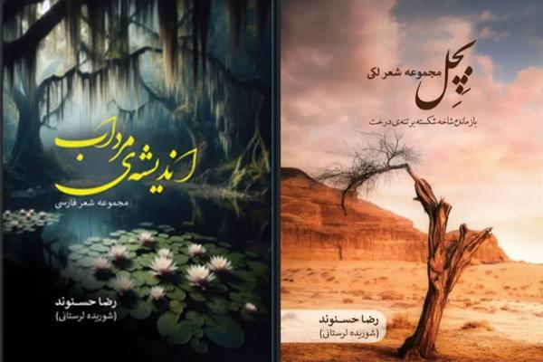 نوسروده‌های «شوریده لرستانی» در پیشخان کتاب‌فروشی‌ها