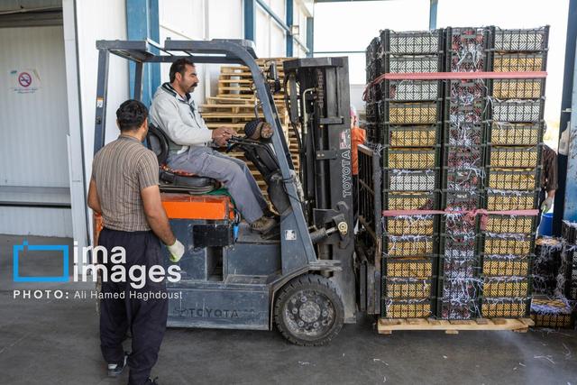 بهره‌برداری از دو سردخانه با ۲۸۰ تن ظرفیت در ایلام