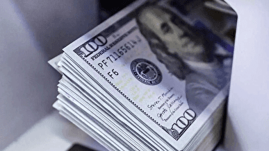 مدیریت واردات کالا‌های اساسی در پیچ تصمیمات ارزی