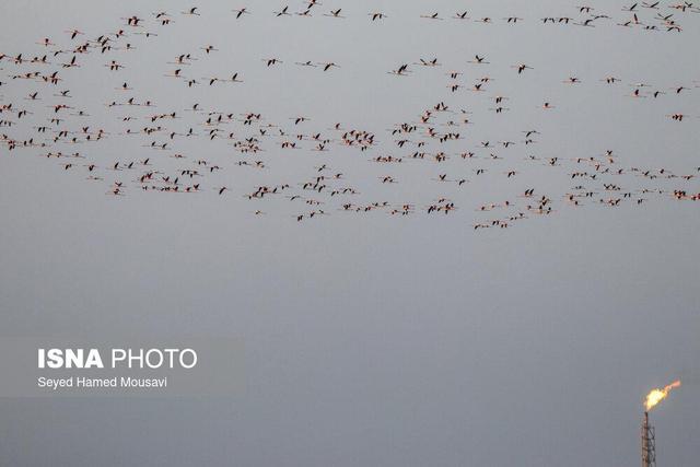 هوای خوزستان؛ ۵ شهر «پاک»، ۲ شهر «ناسالم»