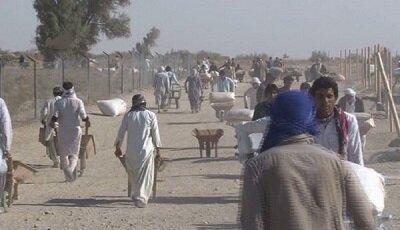 پرداخت ماهانه ۲.۵ میلیون تومان به مرزنشینان کولبر در شهرستان نیمروز