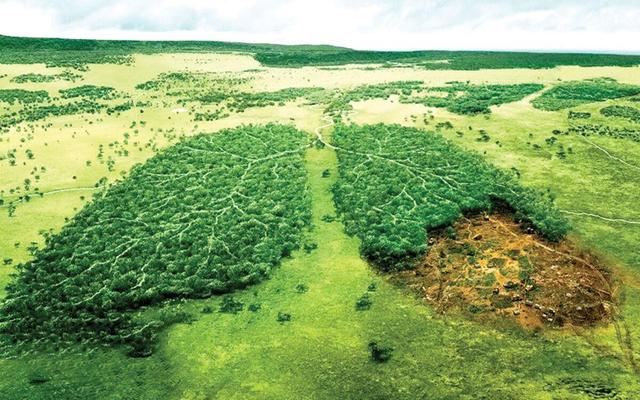 نفس‌گیری ریه‌های هیرکانی با طرح تنفس