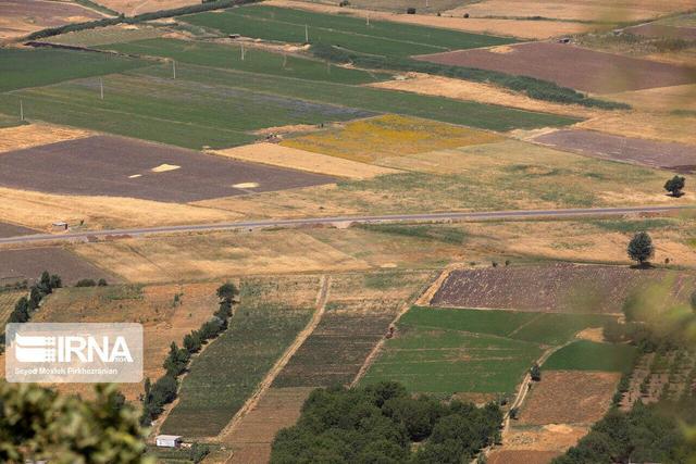 ۹۰۱ هکتار زمین برای اجرای طرح‌های اقتصادی در قم اختصاص یافت