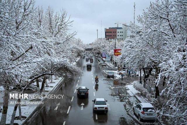 بارش برف در مشهد آغاز شد