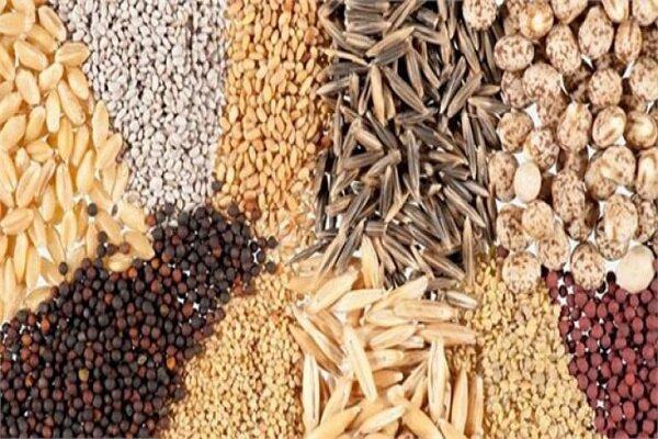 کرمانشاه رتبه چهارم فروش خوراک طیور کشور را کسب کرد