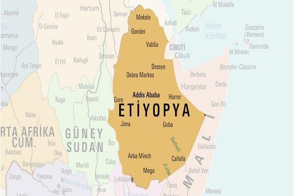 آدیس‌آبابا: اریتره رسما خاک اتیوپی را اشغال کرده است