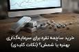 آیا خرید ساچمه یا شمش نقره برای سرمایه‌گذاری بهتر است؟ نکات کلیدی