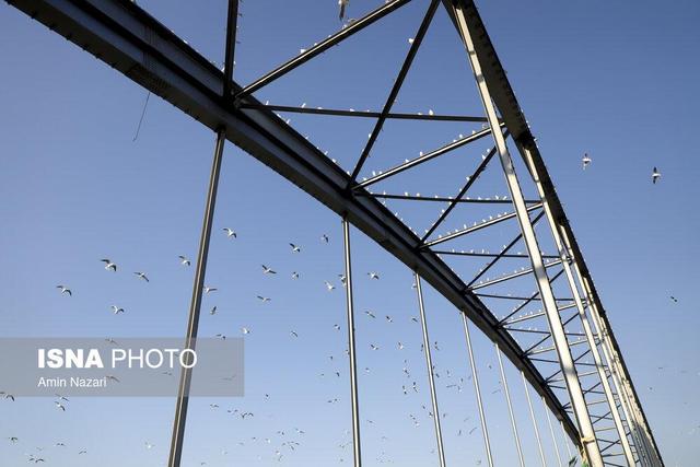 افزایش دما در خوزستان ادامه دارد