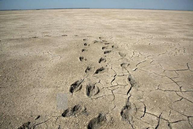 خلیج گرگان در خطر خشک‌ شدن