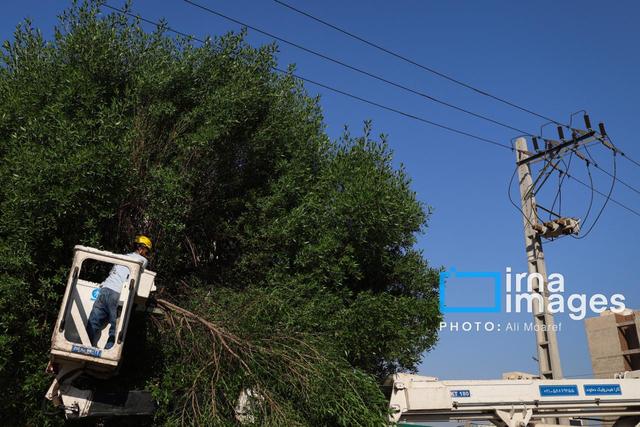 ۷۸۸ فیدر فشار متوسط شبکه برق کشور بهسازی می‌شوند