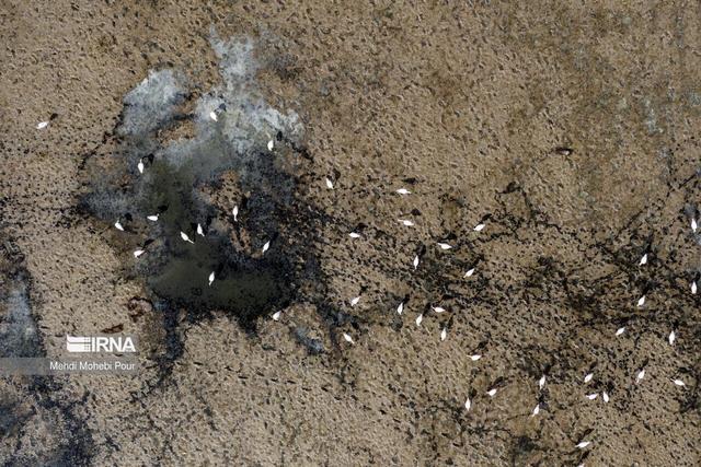 خلیج گرگان در خطر خشک‌شدن؛ ضرورت احیای یک مطالبه همیشگی