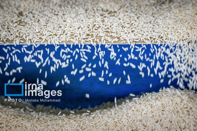 تلاطم در بازار برنج مازندران؛ گران‌فروشی یا مدیریت قیمت؟