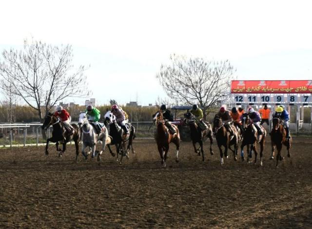 تاخت و تاز ۶۷ اسب در روز دوم هفته دوازدهم کورس گنبدکاووس