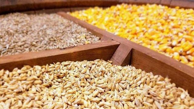 ورود ۶۴۰ هزار تن نهاده دامی به خراسان رضوی